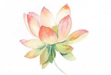 https://m.dizangjingjj.com/stcopic/wfrm/47306.html