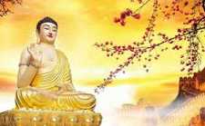 佛教经常劝人要放下，究竟要放下什么？
