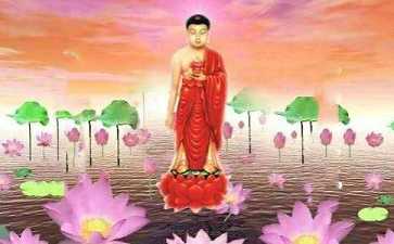 去得上西方还是去不上西方,到底以什么为标准呢? 去得上西方还是去不上西方,到底以什么为标准呢?