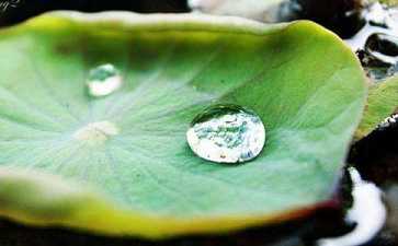 如何理解一切唯心造? 如何理解一切唯心造?