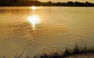 净土法门的特质是难信难解易至这六个字