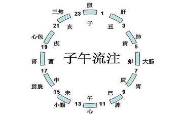 关于“十二时辰养生法”