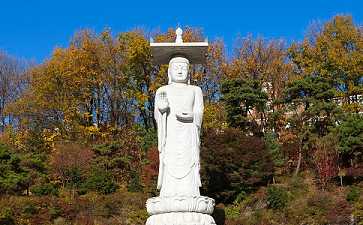 仁禅法师：诸佛中为什么阿弥陀佛的名声最大、第一？