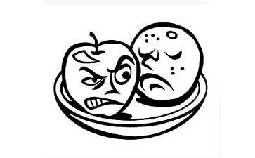 本源法师：经常发脾气会有什么报应？（内附视频）