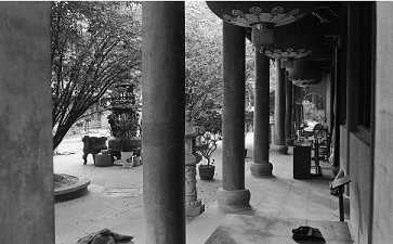 佛教丛林的起源与种类 佛教丛林的起源与种类