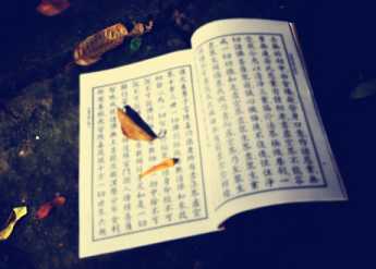 【禅诗赏析】唐·香严智闲之《三句后意》 【禅诗赏析】唐·香严智闲之《三句后意》