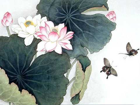 心经解读最好的版本