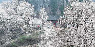 坛经原文及译文